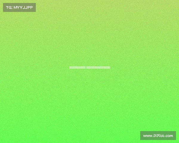 德甲夏季转会市场大解析 球员动向与球队引援策略全方位盘点